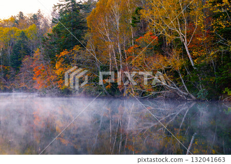 Onneto秋葉 Onneto秋葉 132041663