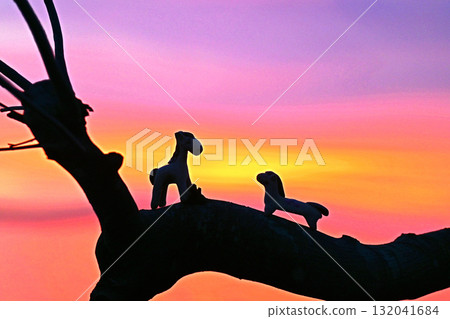 Horse Love Story: Morning in Paradise Horse Love Story: Morning in Paradise 132041684