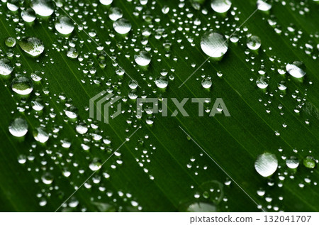 Water droplets on a leaf Banana Graphic material 132041707