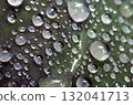 雨後的樹葉，葉子上的水滴，紫色茉莉花，圖形材料 132041713