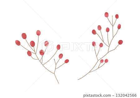 Red berry illustration watercolor style 132042566