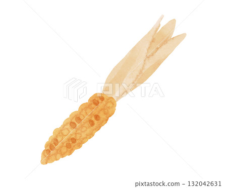 Ornamental corn illustration in watercolor style Ornamental corn illustration in watercolor style 132042631