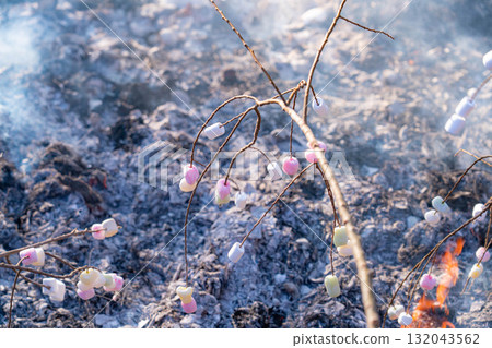 [Winter Material] Dondoyaki, an annual event during the Little New Year [Nagano Prefecture] 132043562
