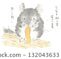 Watercolor illustration of a chinchilla eating a persimmon peel 132043633