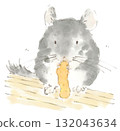 Watercolor illustration of a chinchilla eating a persimmon peel 132043634