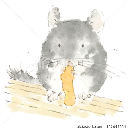 一隻龍貓正在吃柿子皮的水彩插圖 132043634