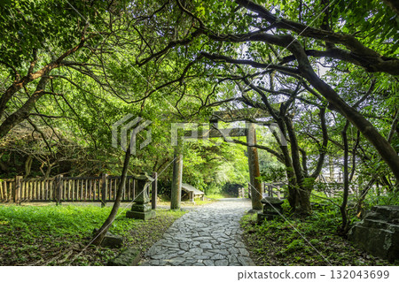 Hyuga Omi Shrine, Udo Shrine (Ryugu), Torii Gate, Hyuga City, Miyazaki Prefecture Hyuga Omi Shrine, Udo Shrine (Ryugu), Torii Gate, Hyuga City, Miyazaki Prefecture 132043699