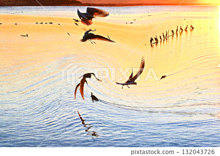 First sunrise of Kasumigaura where water birds play First sunrise of Kasumigaura where water birds play 132043726