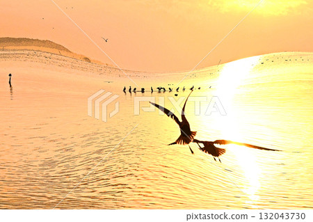 First sunrise of Kasumigaura where water birds play 132043730