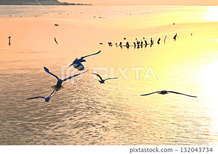 水鳥嬉戲的霞浦的第一日出 132043734