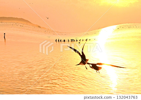 The first sunrise of Kasumigaura where swans play The first sunrise of Kasumigaura where swans play 132043763