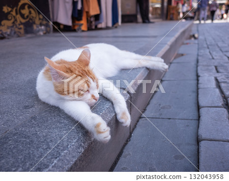 [Turkey] A stray cat lying on the edge of a sidewalk in Istanbul 132043958