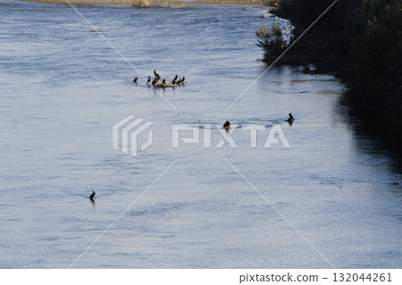 十勝川 千代田水壩 千代田水壩 千代田水壩 132044261
