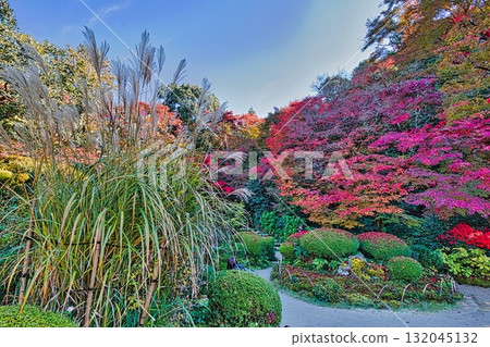 In autumn, Kyoto temples turn red and yellow with autumn leaves. 132045132