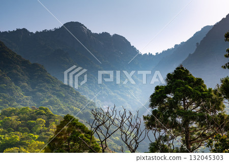 Blue skies and fresh greenery in the Western Forest Road area of Yakushima, a World Natural Heritage site Blue skies and fresh greenery in the Western Forest Road area of Yakushima, a World Natural Heritage site 132045303
