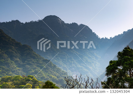 世界自然遺產屋久島西部林道地區的藍天與新綠 世界自然遺產屋久島西部林道地區的藍天與新綠 132045304