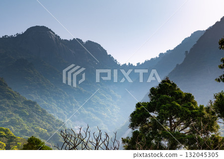 世界自然遺產屋久島西部林道地區的藍天與新綠 世界自然遺產屋久島西部林道地區的藍天與新綠 132045305