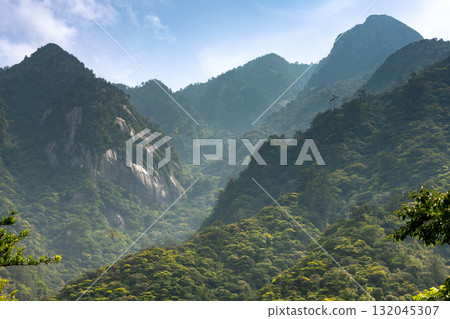 世界自然遺產屋久島西部林道地區的藍天與新綠 132045307