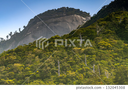 世界自然遺產屋久島西部林道地區的藍天與新綠 132045308