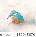 blue bird kingfisher 132045670