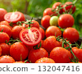 Harvested mini tomatoes 132047416