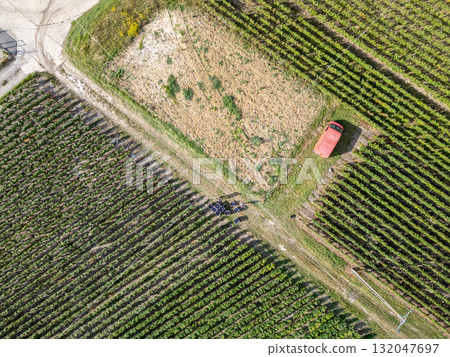 Trois-Puits, Reims, Marne, Grand-Est, France, August, 28th, 2025, Champagne Area, Aerial View of 132047697