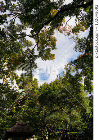The approach to Anrakuji Temple 132048092