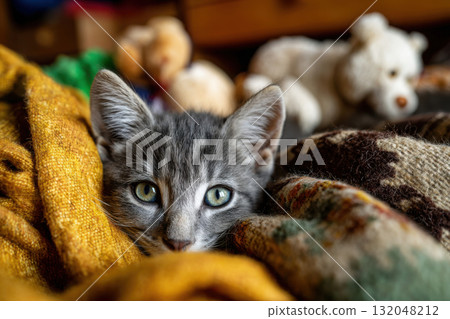 Playful kitten with bright green eyes in a cozy room 132048212