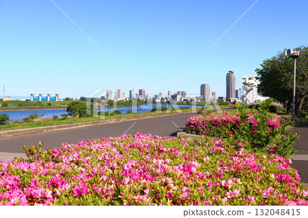 Spring near the confluence of the Arakawa and Shibakawa rivers (Urban Agricultural Park, Adachi Ward, Tokyo) 132048415