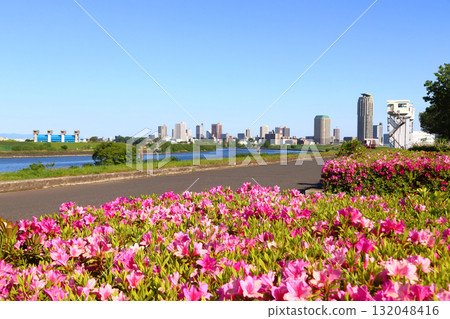 Spring near the confluence of the Arakawa and Shibakawa rivers (Urban Agricultural Park, Adachi Ward, Tokyo) Spring near the confluence of the Arakawa and Shibakawa rivers (Urban Agricultural Park, Adachi Ward, Tokyo) 132048416