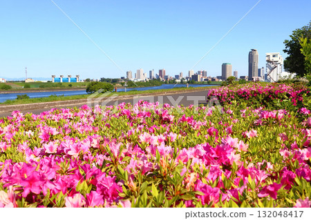 Spring near the confluence of the Arakawa and Shibakawa rivers (Urban Agricultural Park, Adachi Ward, Tokyo) 132048417