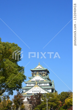 大阪城天守閣（大阪府大阪市中央區大阪城） 132048418
