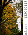 Autumn leaves at Enryakuji Temple on Mount Hiei 132049115