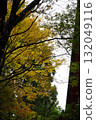Autumn leaves at Enryakuji Temple on Mount Hiei 132049116