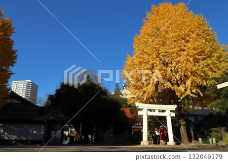 飯塚冰川神社的深秋(埼玉縣川口市) 飯塚冰川神社的深秋(埼玉縣川口市) 132049179