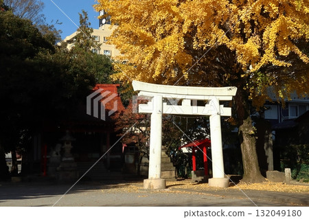 Late autumn at Iizuka Hikawa Shrine (Kawaguchi City, Saitama Prefecture) 132049180