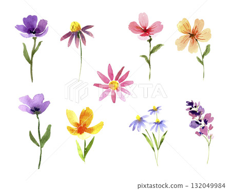 Watercolor set of loose wildflowers in pink, purple, yellow, and blue tones. Perfect for wedding invitations, packaging, textile prints, posters, cards, and floral branding projects. Watercolor set of loose wildflowers in pink, purple, yellow, and blue tones. Perfect for wedding invitations, packaging, textile prints, posters, cards, and floral branding projects. 132049984