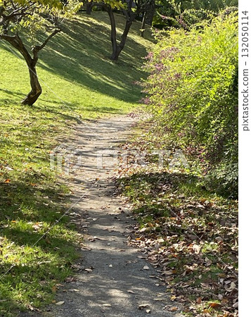 落葉路 落葉路 132050114