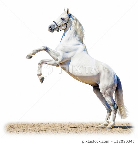 白馬 白馬 132050345