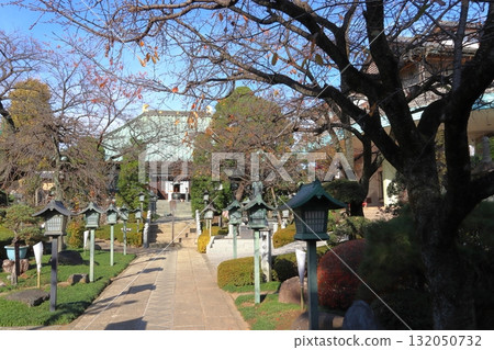 禦光院的秋天(埼玉縣川口市) 禦光院的秋天(埼玉縣川口市) 132050732