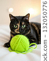 yarn and cat 132050776