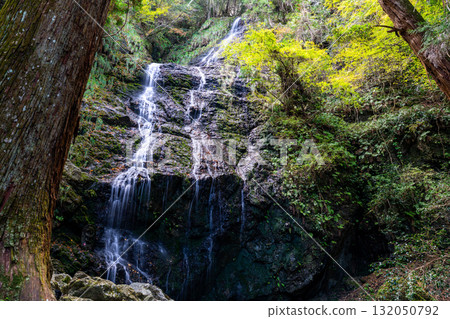Hiryu Falls Autumn Scenery 12 Sayo Town, Sayo District, Hyogo Prefecture 132050792