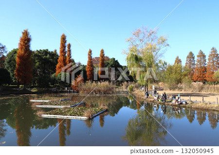 河口自然公園的秋天(埼玉縣川口市) 河口自然公園的秋天(埼玉縣川口市) 132050945