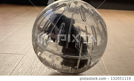 Hamster in a ball Hamster in a ball 132051119