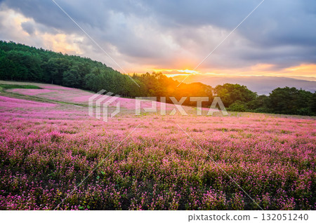 [Sunrise] Akasoba Village [Minowa Town, Kamiina District] 132051240