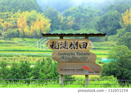 明日香村稻淵的梯田 132051259