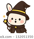 驚訝的魔法兔子反應圖 132051350