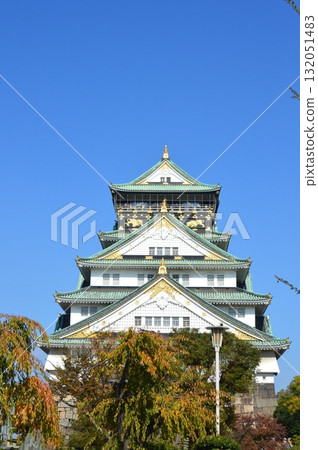 大阪城天守閣(大阪府大阪市中央區大阪城) 大阪城天守閣(大阪府大阪市中央區大阪城) 132051483