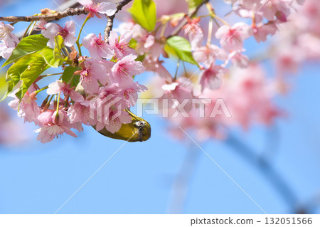 Meal with cherry honey 132051566