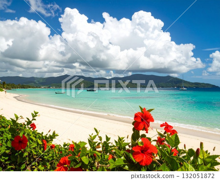 [AI-generated image] Tropical cumulonimbus clouds, ocean, and hibiscus 132051872